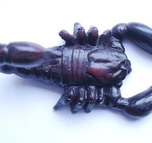 Animal Resin Figurines BB2508