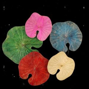 Lotus Leave Wall Art 029