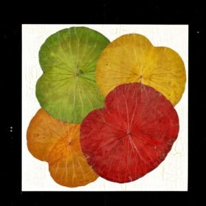 Lotus Leave Wall Art 036