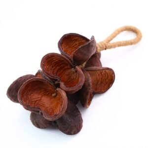 Wooden Accessory 011