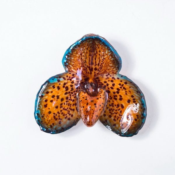 Real orchid flower jewelry wholesale Bellatulum necklace in orange color