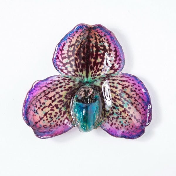 Real orchid flower jewelry wholesale Bellatulum necklace in violet color