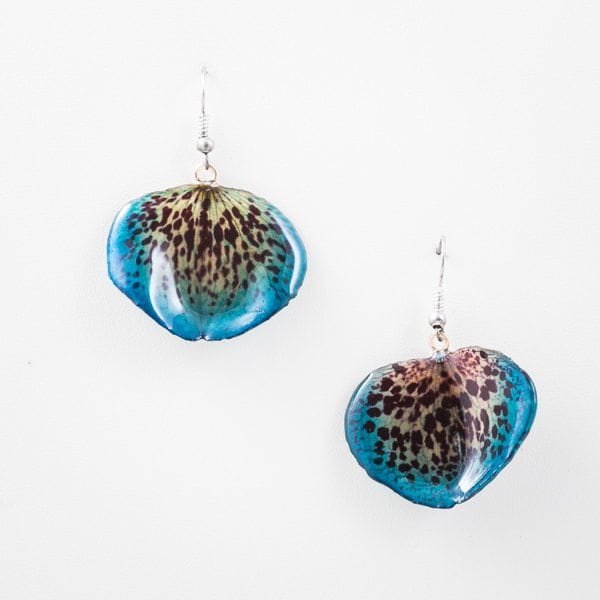 Real flower jewelry wholesale Bellatulum petal earrings in blue color