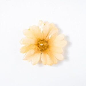 Real orchid flower jewelry wholesale Daisy necklace in beige color