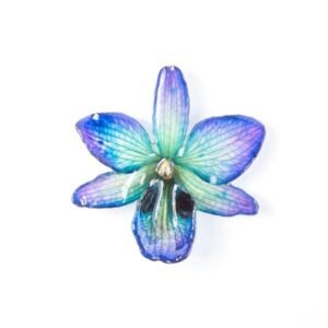 Real flower jewelry wholesale Dendrobium black eye necklace in blue color