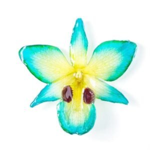 Real flower jewelry wholesale Dendrobium black eye necklace in green color