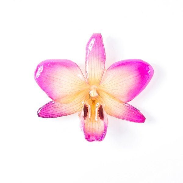 Real flower jewelry wholesale Dendrobium black eye necklace in pink color