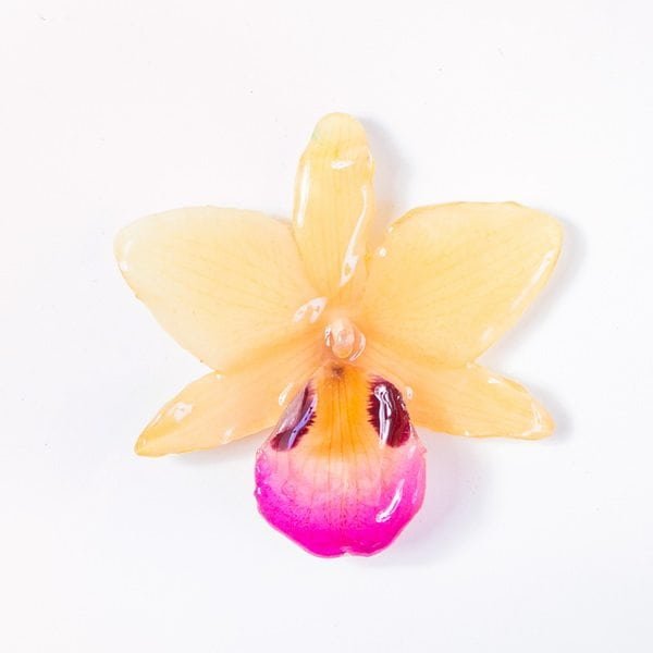 Real flower jewelry wholesale Dendrobium black eye necklace in beige color