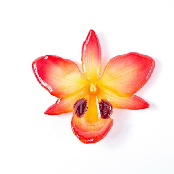 Real_Flower_Jewelry_Dendrobium_black_eye_Necklace8 Real flower jewelry Dendrobium black eye necklace in red color