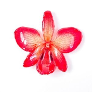 Real flower jewelry Dendrobium black eye necklace in red color