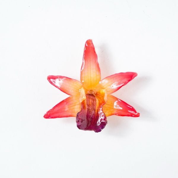 Real orchid flower jewelry Formosum necklace in pink color