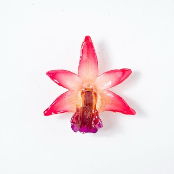 Real orchid flower jewelry Formosum necklace in pink color