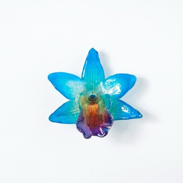 Real orchid flower jewelry Formosum necklace in blue color