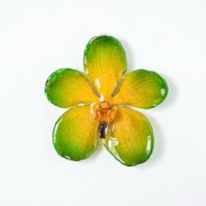 Real flower jewelry wholesale Mokara necklace in green color