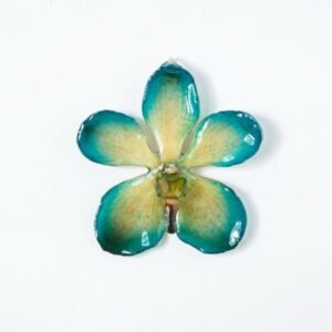 Real flower jewelry wholesale Mokara necklace in blue color