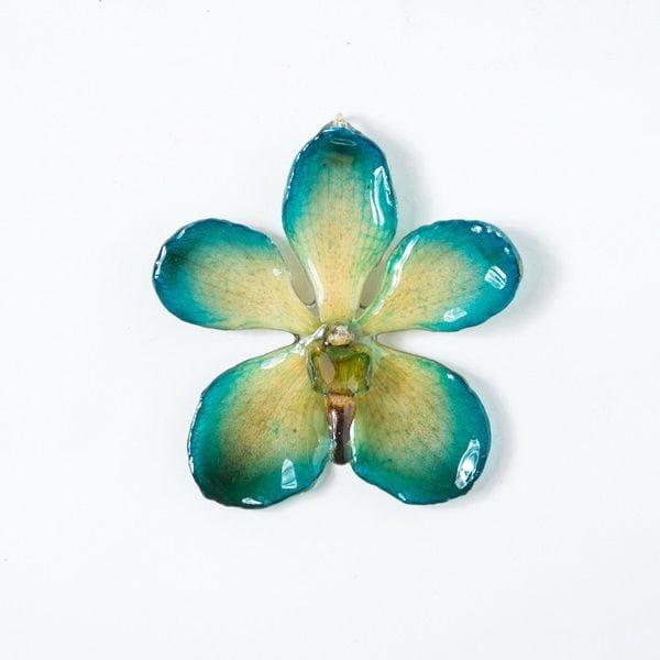 Real flower jewelry wholesale Mokara necklace in blue color