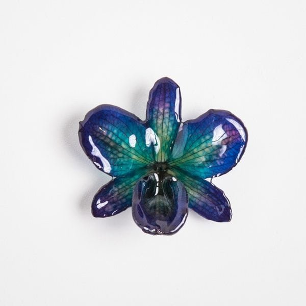 Real flower jewelry Nobile pendant in blue color