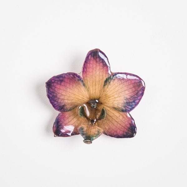 Real orchid flower jewelry wholesale Phalanopsis necklace in plum color
