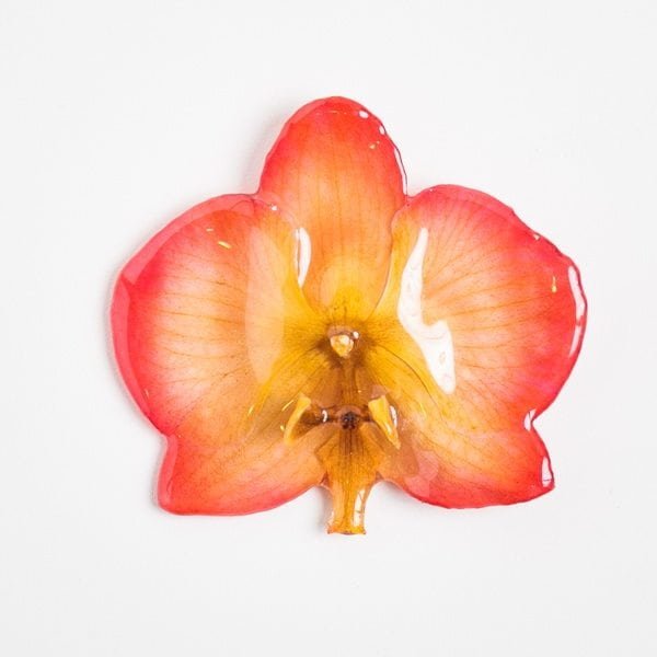 Real orchid flower jewelry wholesale Phalanopsis necklace in orange color