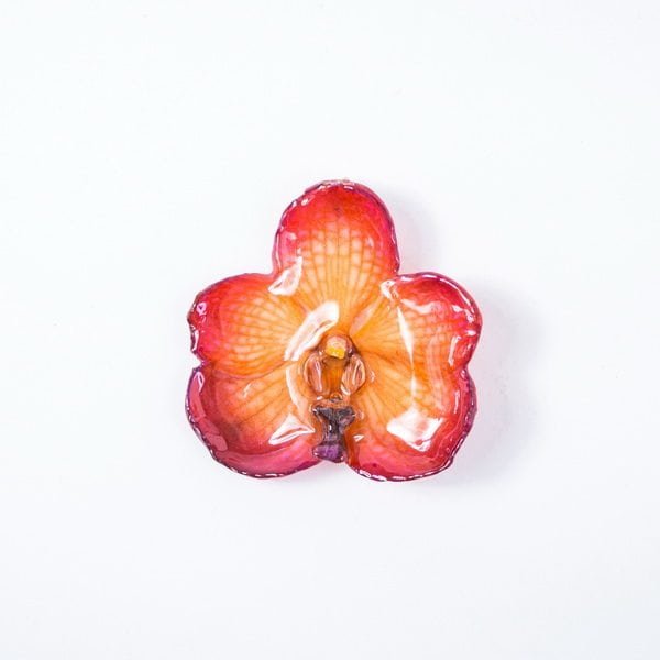 Real_Flower_Jewelry_Vanda_Necklace14 Real orchid flower jewelry wholesale Vanda pendant in orange color