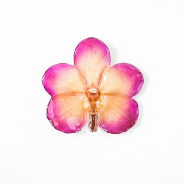 Real orchid flower jewelry wholesale Vanda pendant in purple color