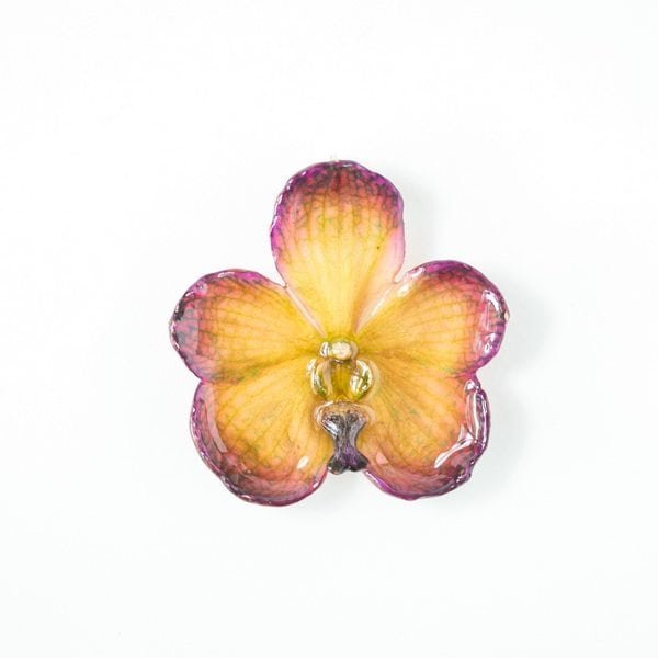 Real orchid flower jewelry wholesale Vanda pendant in plum color