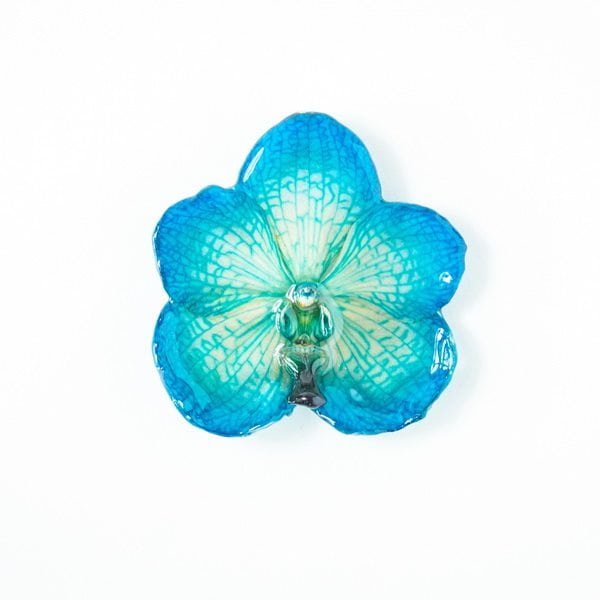 Real orchid flower jewelry wholesale Vanda pendant in blue color