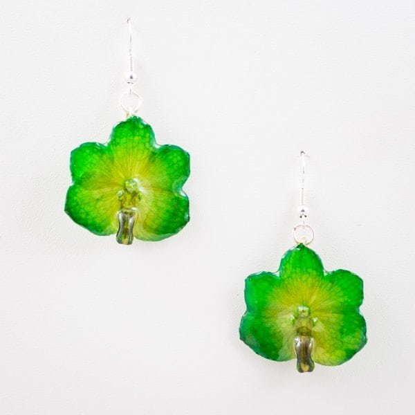 Real orchid flower jewelry Vasco earrings in green color