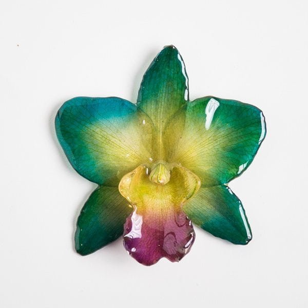 Real flower jewelry wholesale large Cattleya pendant in green color
