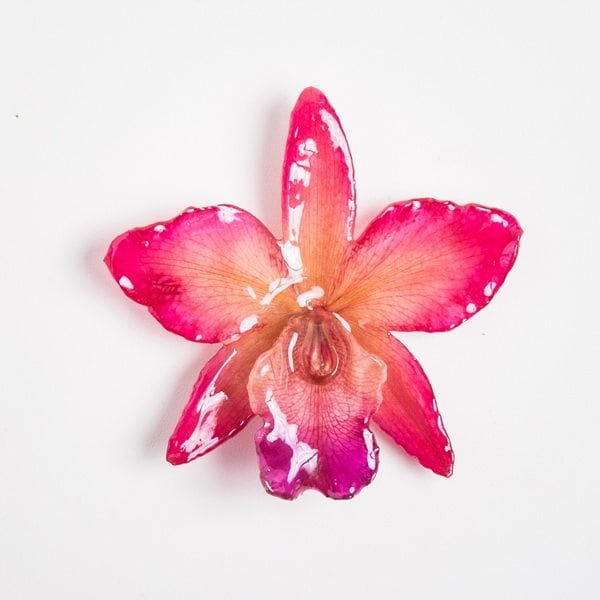 Real flower jewelry wholesale large Cattleya pendant in pink color