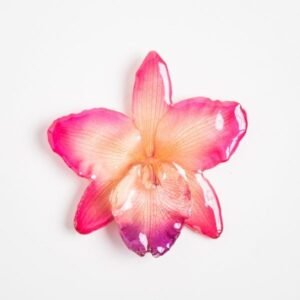 Real flower jewelry wholesale large Cattleya pendant in pink color