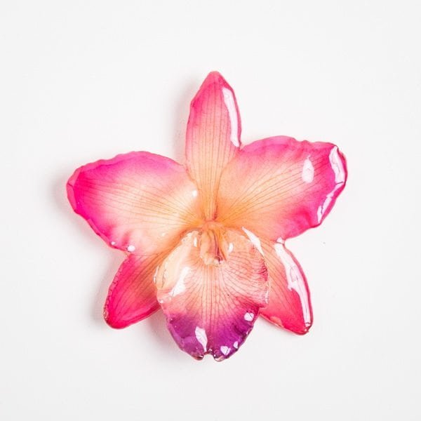 Real_Flower_Jewelry_large_Cattleya_Necklace14 Real flower jewelry wholesale large Cattleya pendant in pink color