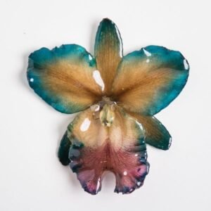 Real flower jewelry wholesale large Cattleya pendant in blue color