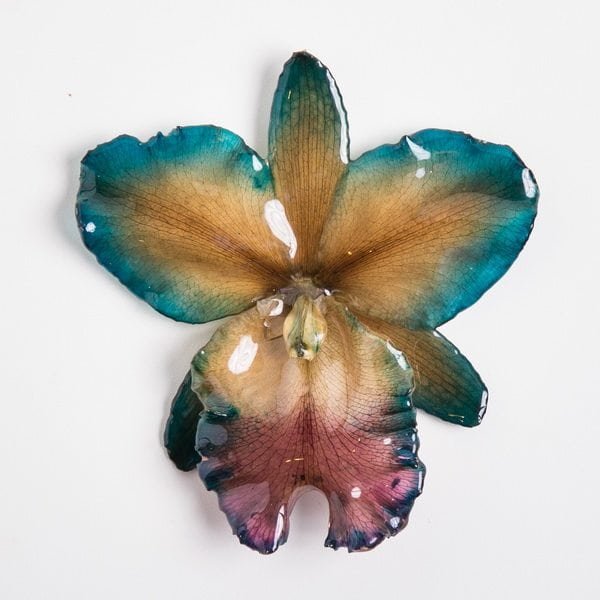 Real flower jewelry wholesale large Cattleya pendant in blue color