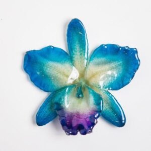Real flower jewelry wholesale large Cattleya pendant in blue color