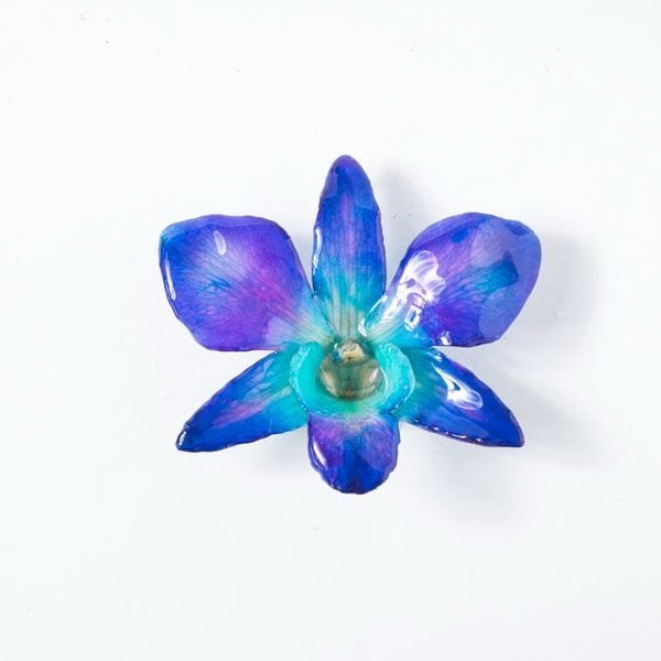 Real orchid flower jewelry wholesale large Dendrobium necklace in blue color