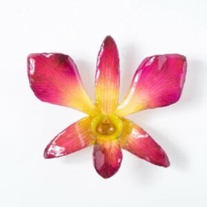 Real orchid flower jewelry wholesale large Dendrobium necklace in pink color