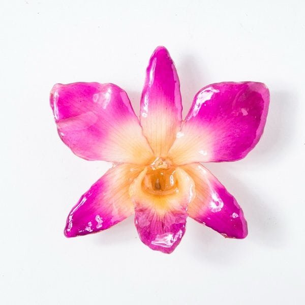 Real_Flower_Jewelry_large_Dendrobium_Necklace7 Real orchid flower jewelry wholesale large Dendrobium necklace in pink color