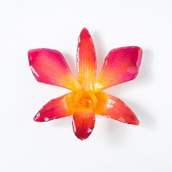 Real orchid flower jewelry wholesale large Dendrobium necklace in yellow color