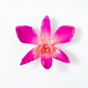 Real orchid flower jewelry wholesale large Dendrobium necklace in pink color
