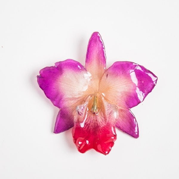 Real_Flower_Jewelry_medium_Cattleya_Necklace15 Real flower jewelry wholesale medium Cattleya pendant in purple color