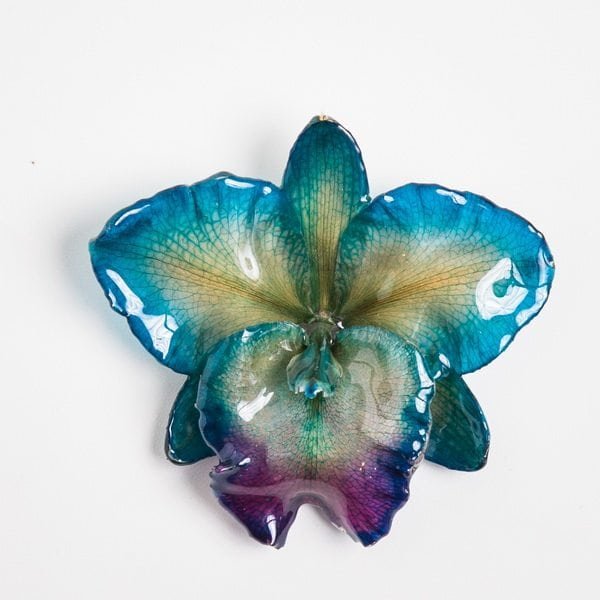 Real flower jewelry medium Cattleya pendant in blue color