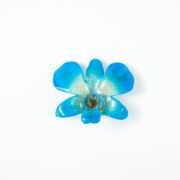 Real flower jewelry wholesale medium Dendrobium necklace in blue color