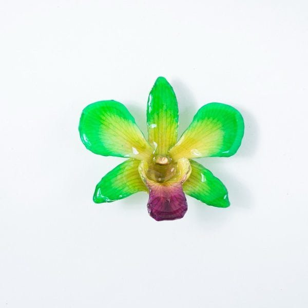 Real_Flower_Jewelry_medium_Dendrobium_Necklace5 Real flower jewelry wholesale medium Dendrobium necklace in green color