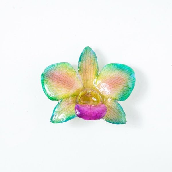 Real flower jewelry wholesale round Dendrobium pendant in green color
