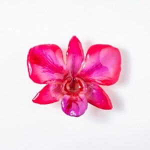 Real orchid flower jewelry round Dendrobium pendant in pink color