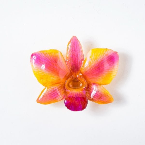 Real_Flower_Jewelry_round_Dendrobium_Necklace23 Real orchid flower jewelry round Dendrobium pendant in pink color