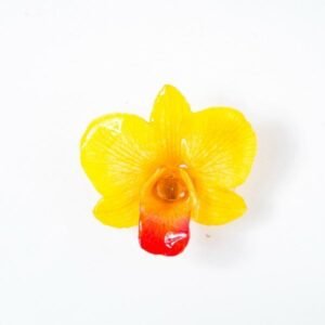 Real flower jewelry wholesale round Dendrobium pendant in yellow color