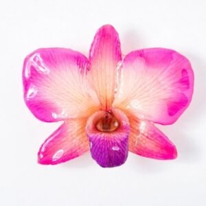 Real flower jewelry wholesale round Dendrobium pendant in pink color