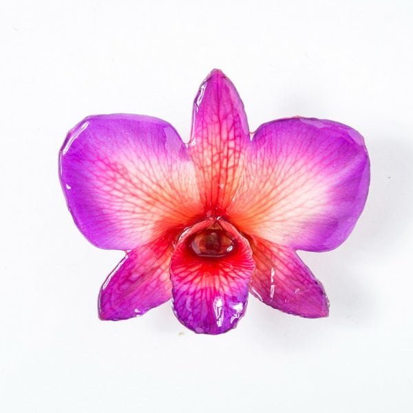 Real_Flower_Jewelry_round_Dendrobium_Necklace7 Real flower jewelry wholesale round Dendrobium pendant in violet color